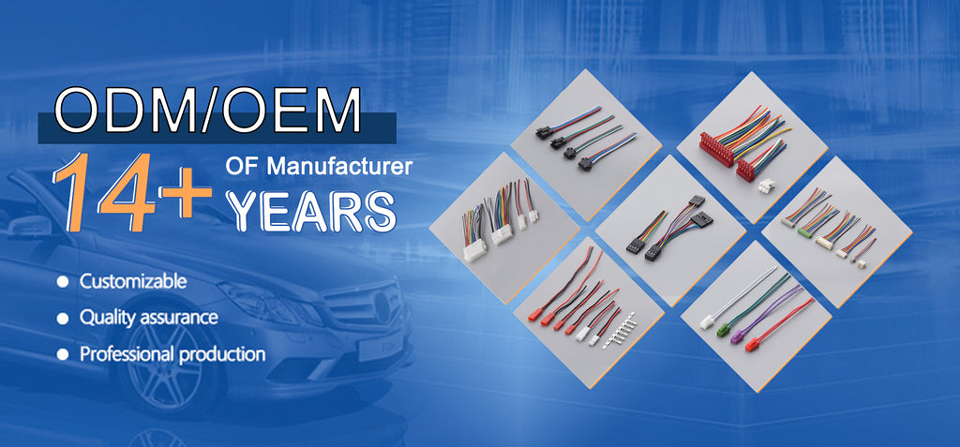 1666941038.jpg 0.jpg